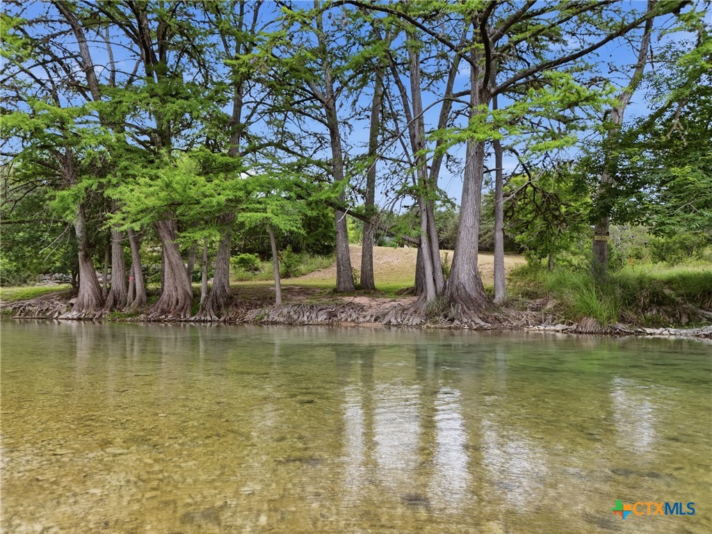 1260 Magers Road Concan, TX 78838 - Photo 2 of 40