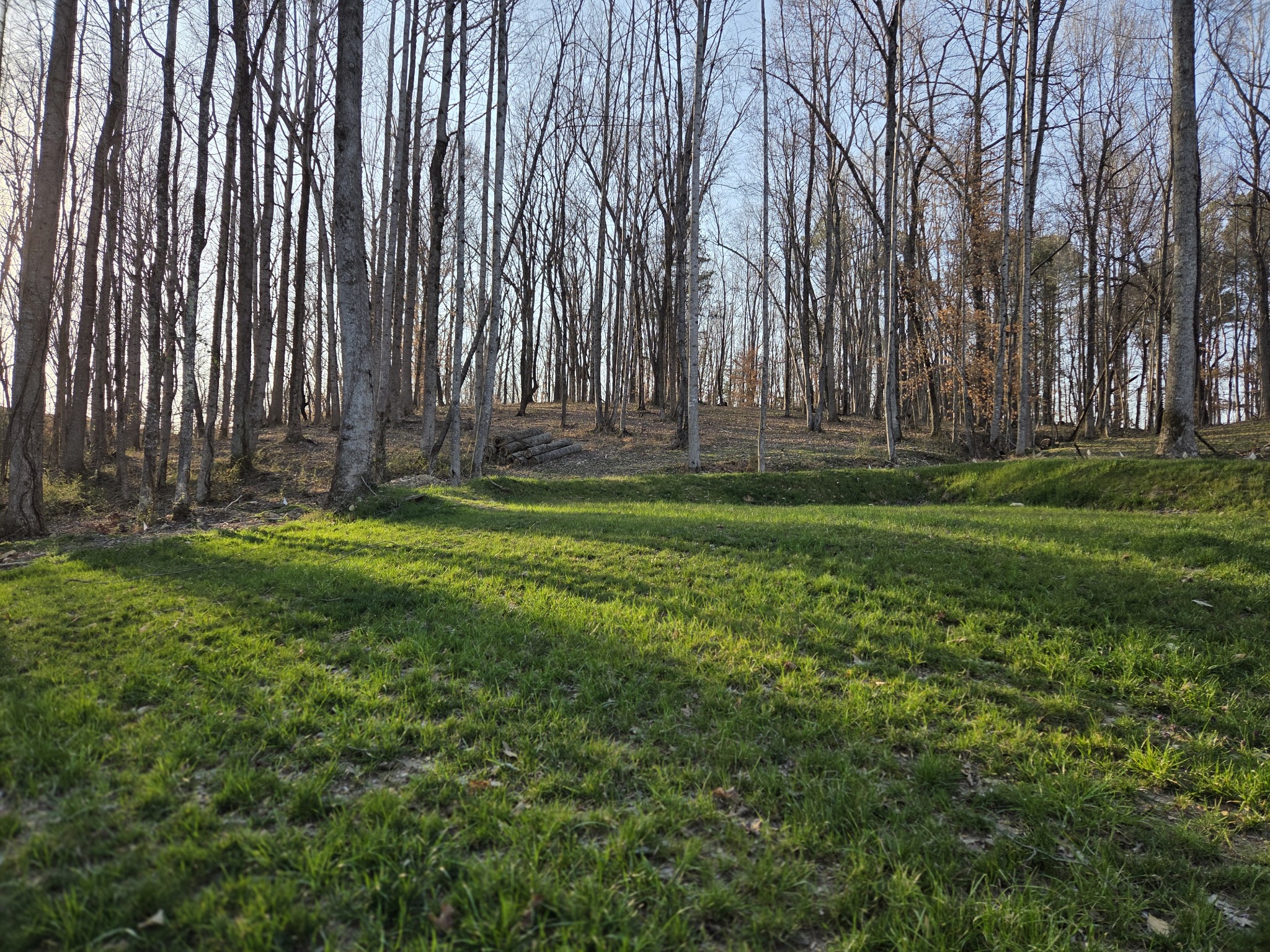 77 Edna Lane Manchester, TN 37355 - Photo 22 of 29