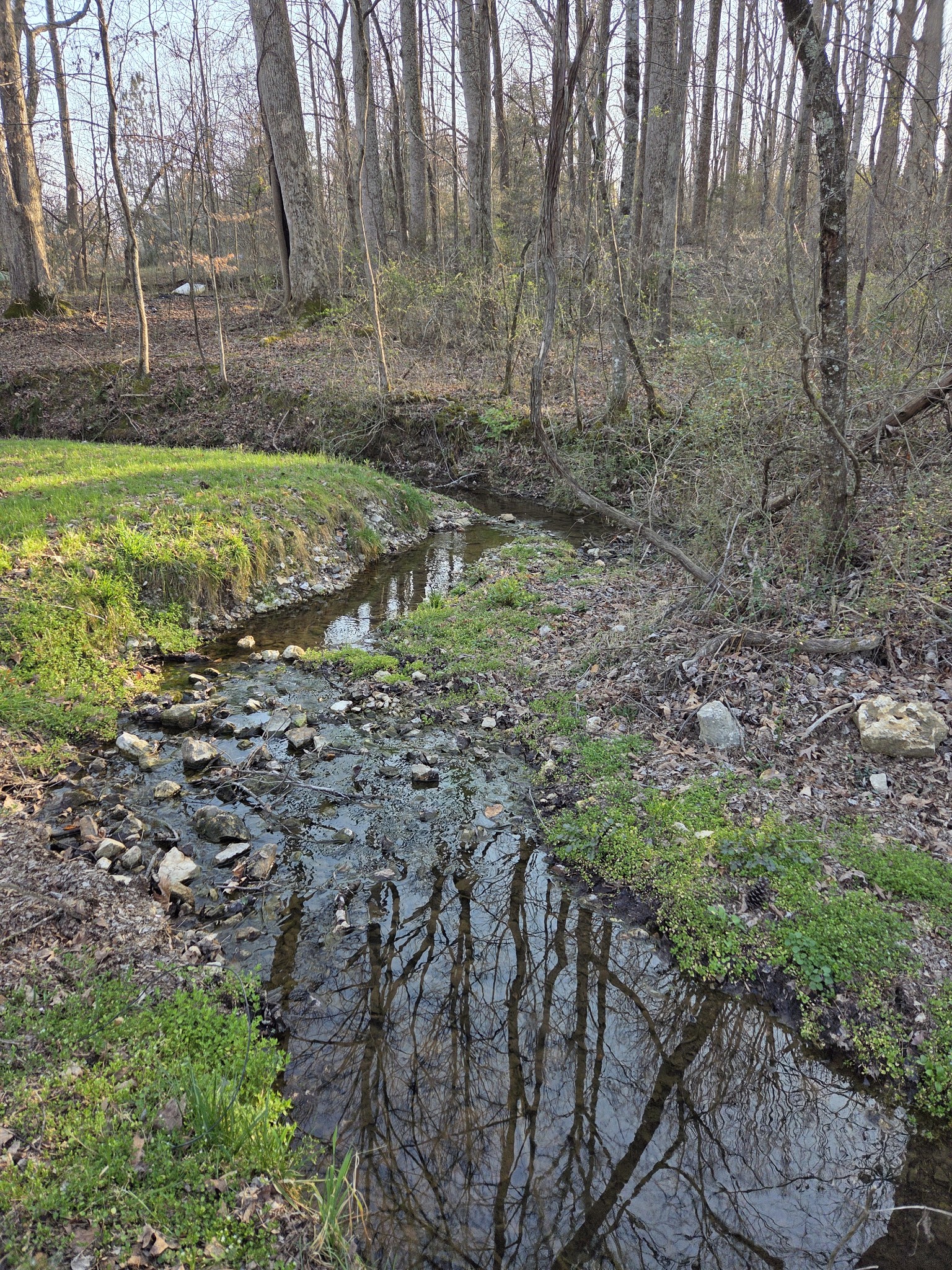 77 Edna Lane Manchester, TN 37355 - Photo 25 of 29