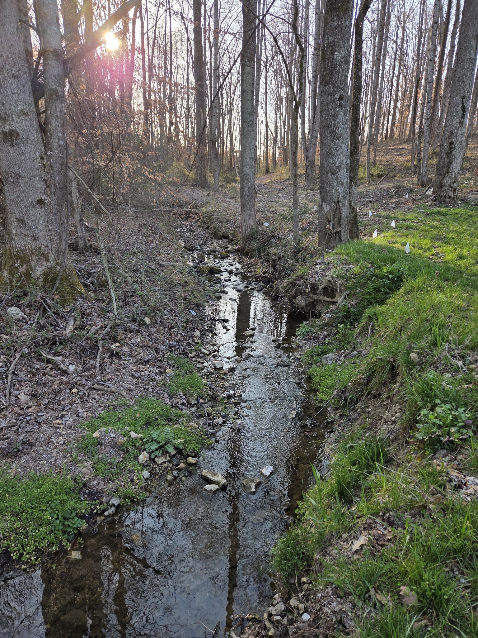 77 Edna Lane Manchester, TN 37355 - Photo 26 of 29