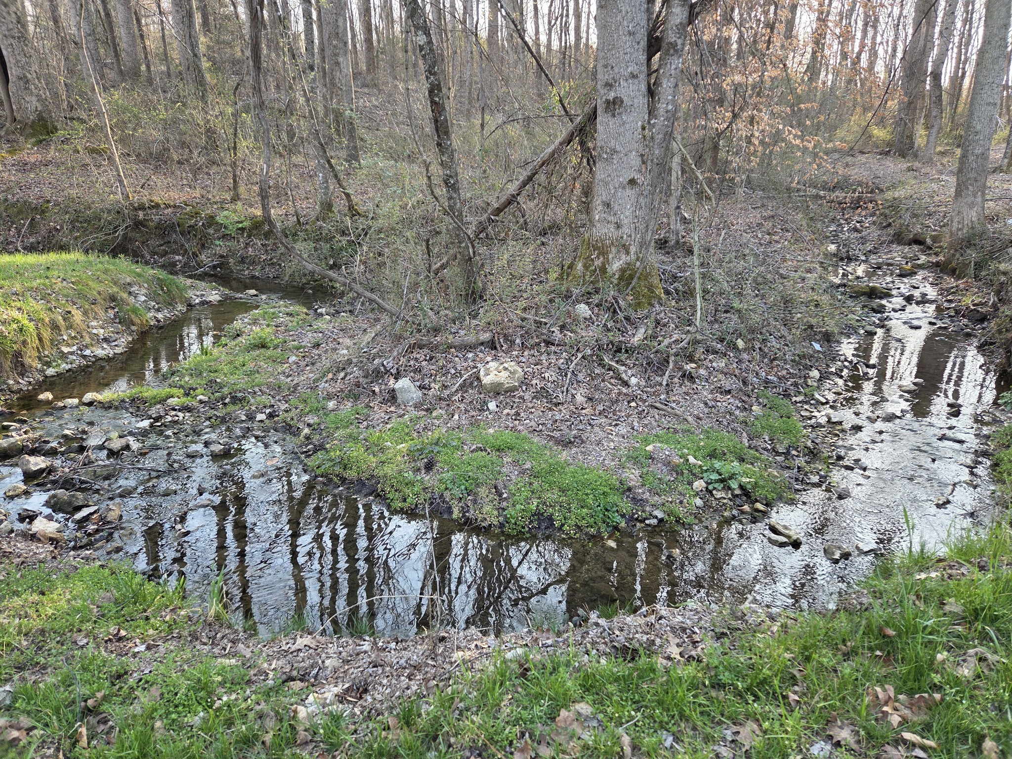 77 Edna Lane Manchester, TN 37355 - Photo 27 of 29