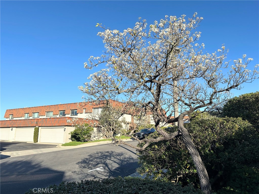 28162 Ridgecove Court South Rancho Palos Verdes, CA 90275 - Photo 7 of 27