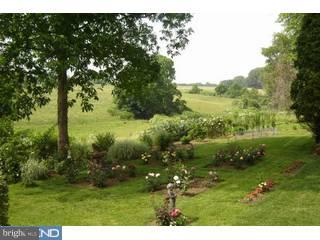 651 Darby Paoli Road Villanova, PA 19085 - Photo 6 of 6 Gallery Image 6