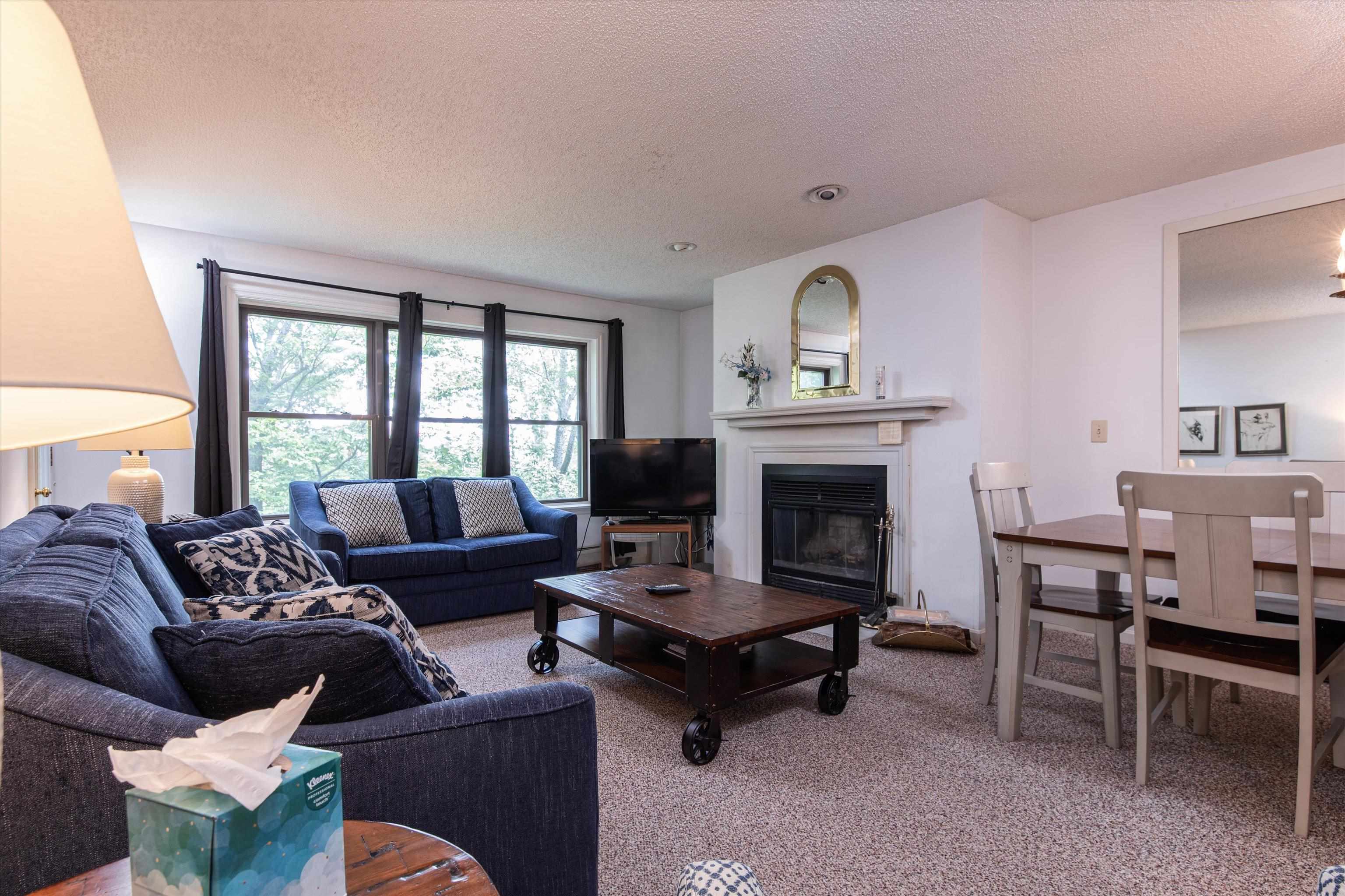 42 Harrison Lane, Unit M204 Ludlow, VT 05149 - Photo 4 of 37