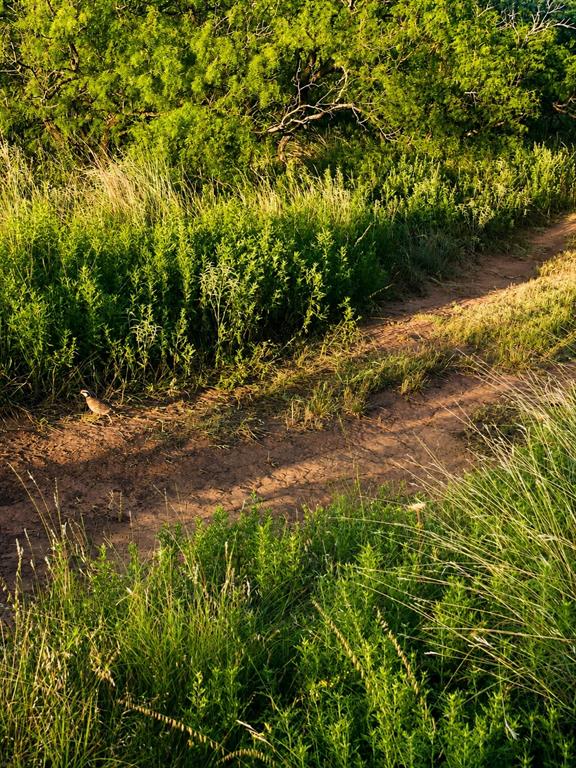 551 Blevins Road Nocona, TX 76255 - Photo 23 of 38