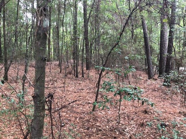 2665 Lester Bell Road Brantley, AL 36009 - Photo 35 of 48 Gallery Image 35