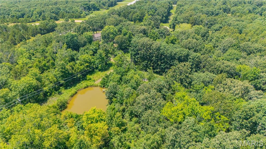 16002 State Rte J Newburg, MO 65550 - Photo 2 of 50