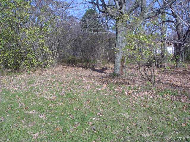 1641 Overhead Road Evans, NY 14047 - Photo 1 of 1 Land. From Street 2.5 acres