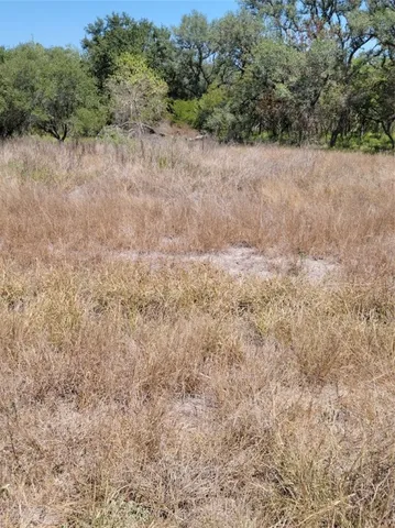 a view of a dry yard