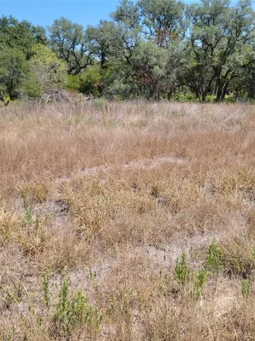 a view of a dry yard with green space