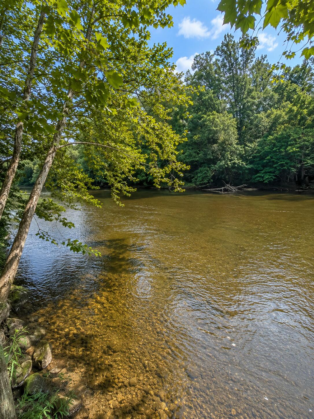 248 River Road South Covington, VA 24426 - Photo 7 of 54 10