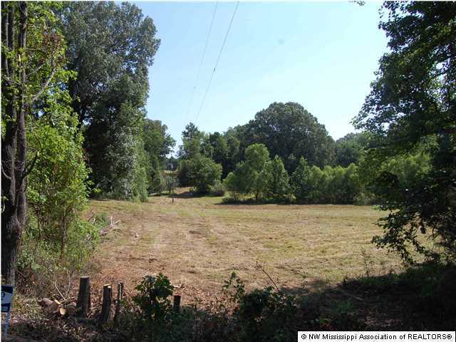0 Horn Lake Road Nesbit, MS 38651 - Photo 1 of 4 Primary Photo