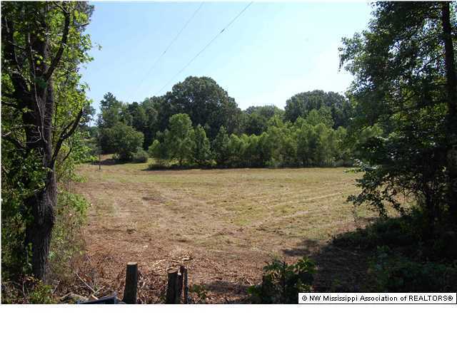 0 Horn Lake Road Nesbit, MS 38651 - Photo 2 of 4 Additional Photo