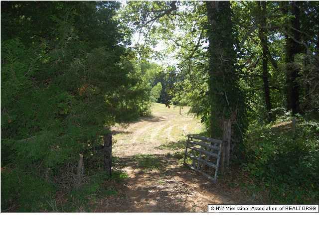 0 Horn Lake Road Nesbit, MS 38651 - Photo 3 of 4 Additional Photo