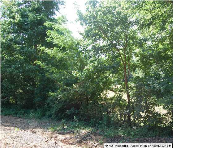0 Horn Lake Road Nesbit, MS 38651 - Photo 4 of 4 Additional Photo