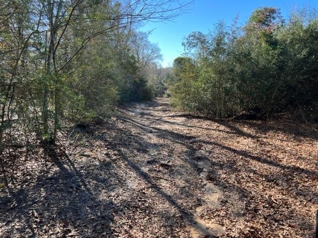 26541 Old Boggy Road Opp, AL 36467 - Photo 9 of 50 Gallery Image 9