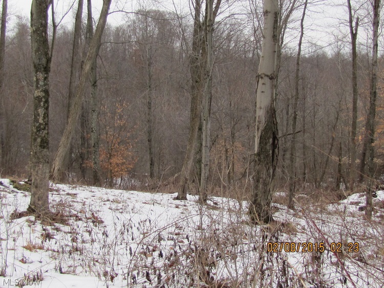 Bailey Road Walhonding, OH 43843 - Photo 4 of 5