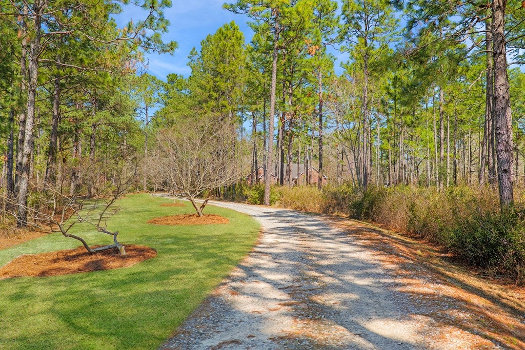 4938 Snake Nation Road Hahira, GA 31632 - Photo 75 of 85 Gallery Image 75