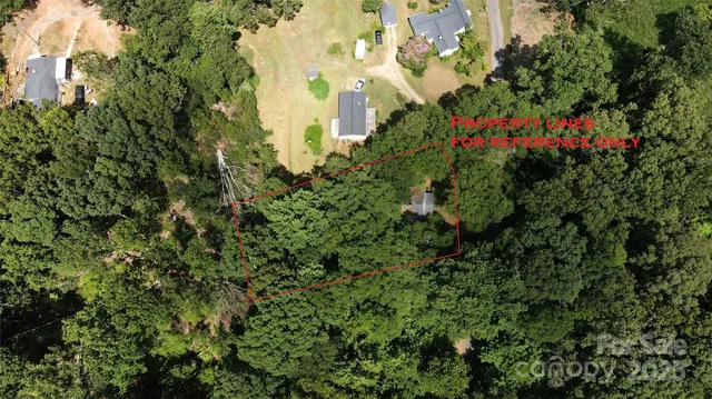 a view of a flower in a garden