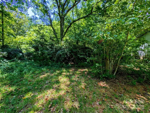 a view of a lush green forest