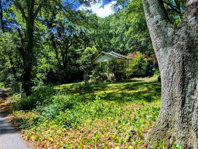 a view of yard with green space