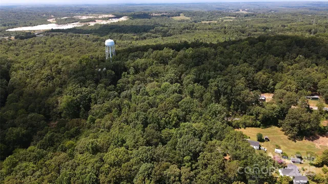 a view of a forest with a lake