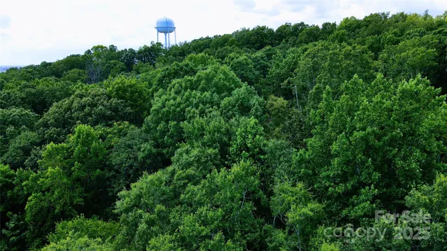 an aerial view of a house with a lush green forest