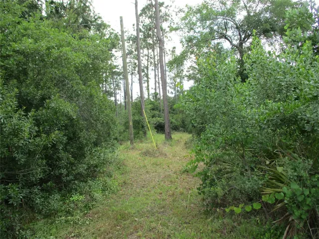 a view of outdoor space and green space