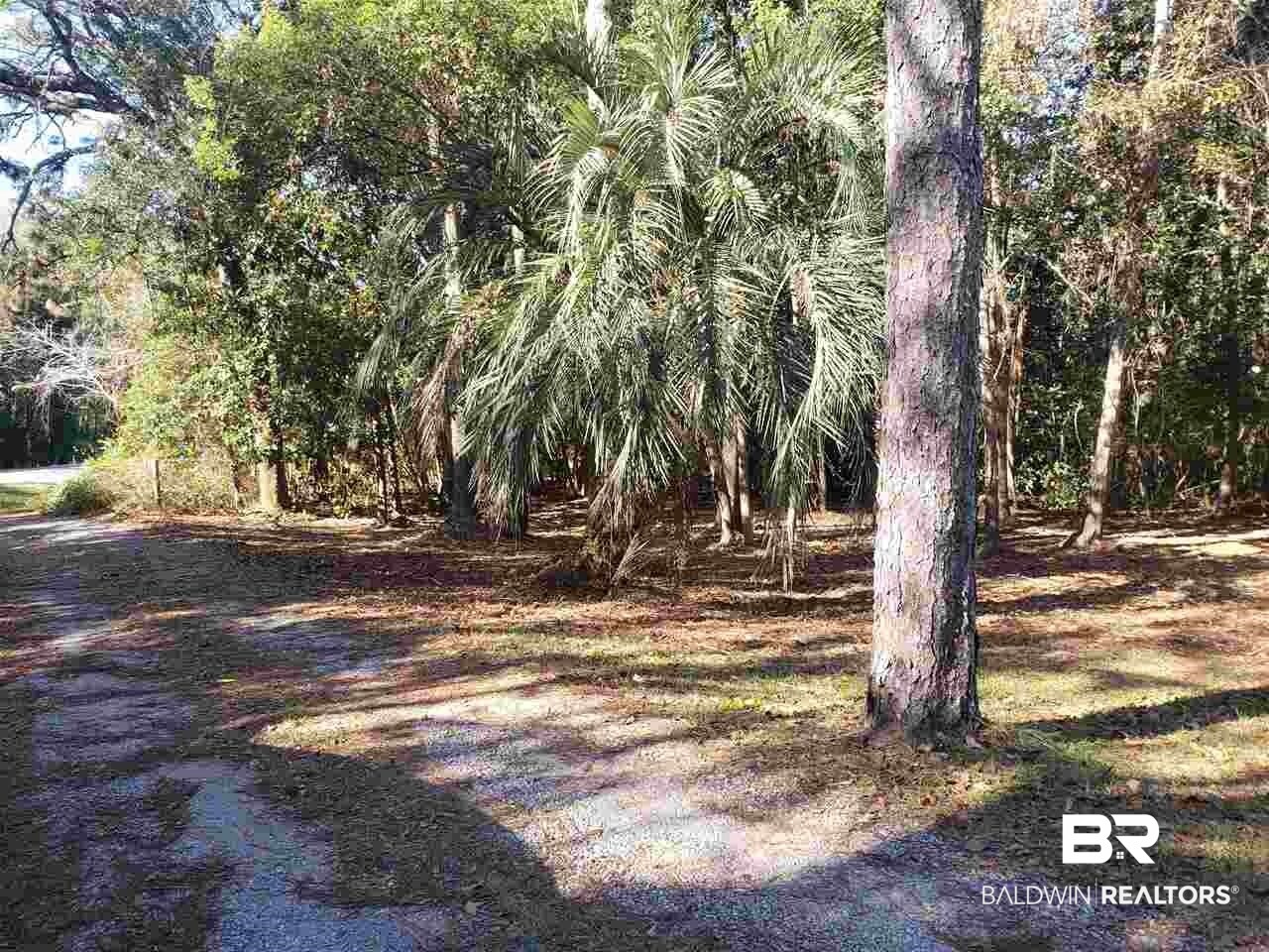21655 Highway 98 Foley, AL 36535 - Photo 14 of 22