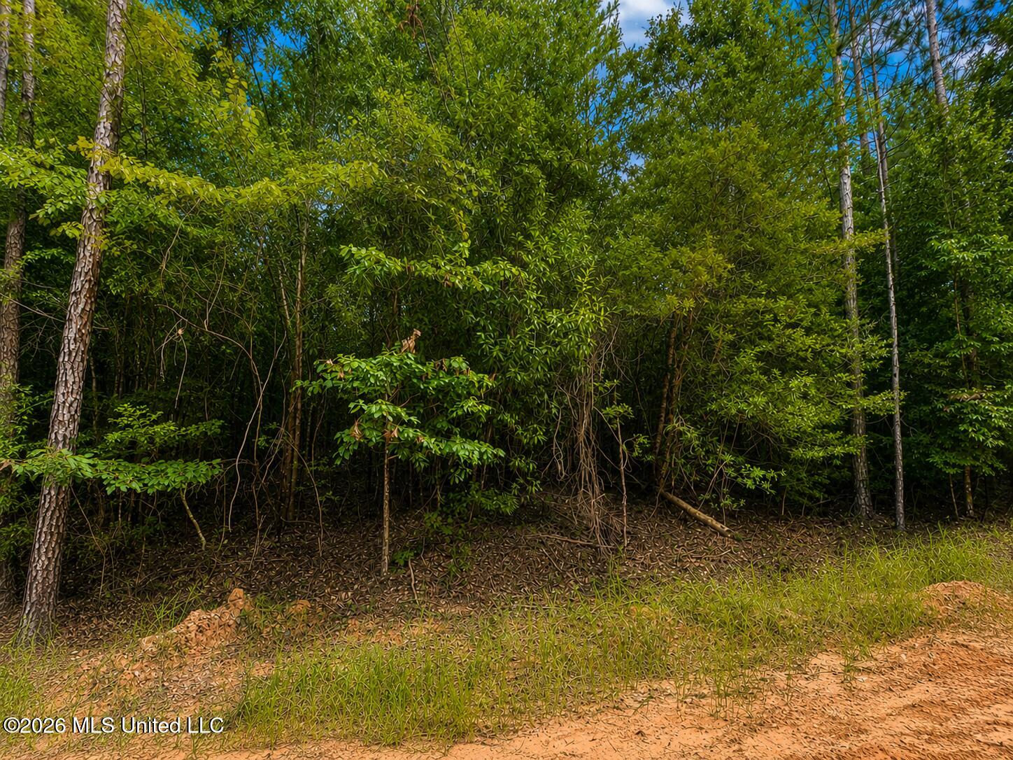 4.39-acres Man Moulds Road Lucedale, MS 39452 - Photo 9 of 15 land (11)