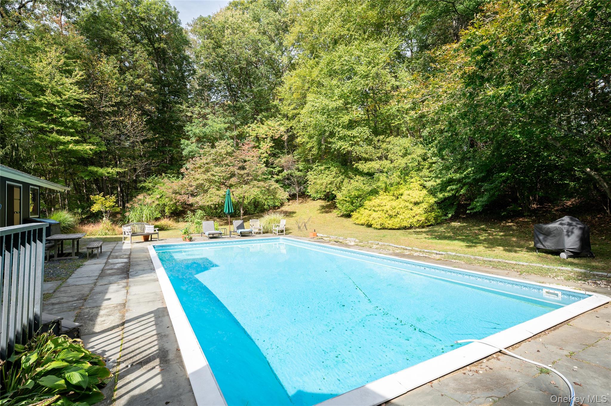 29 Alice Road Mount Kisco, NY 10549 - Photo 3 of 24 Outdoor pool