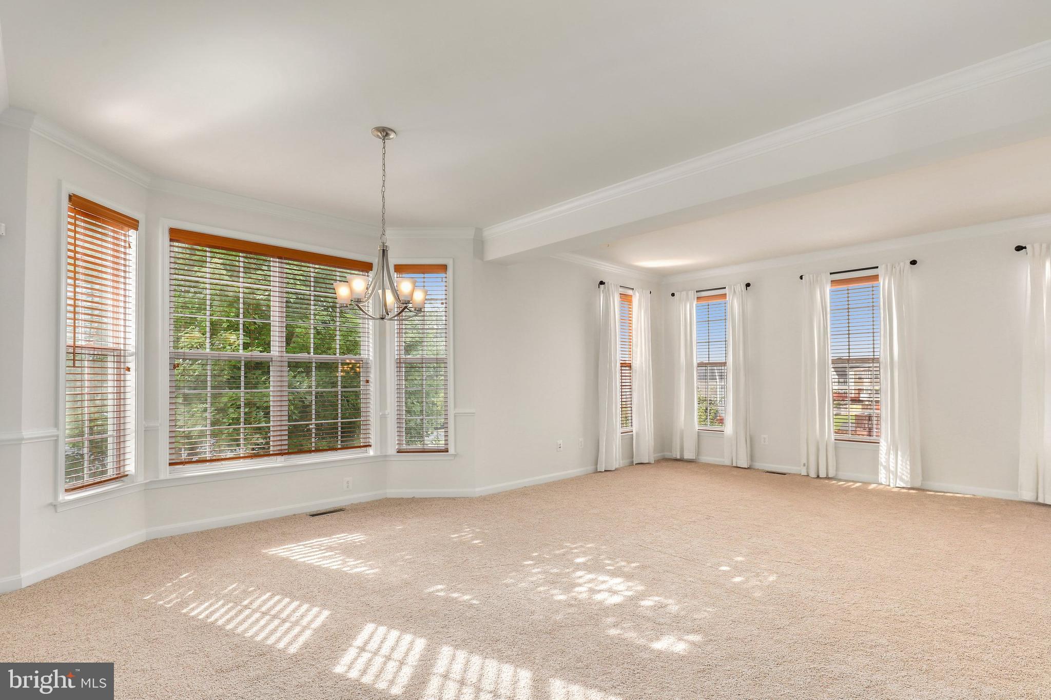 2209 Henry Watts Loop Woodbridge, VA 22191 - Photo 8 of 42