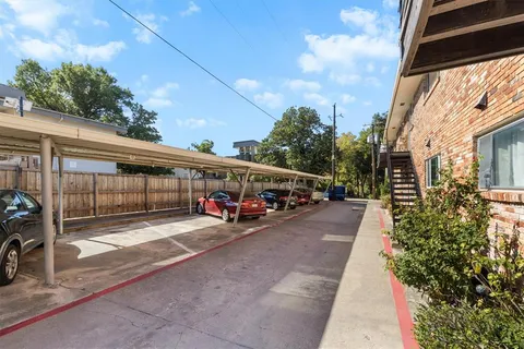 a view of a yard with plants and trees