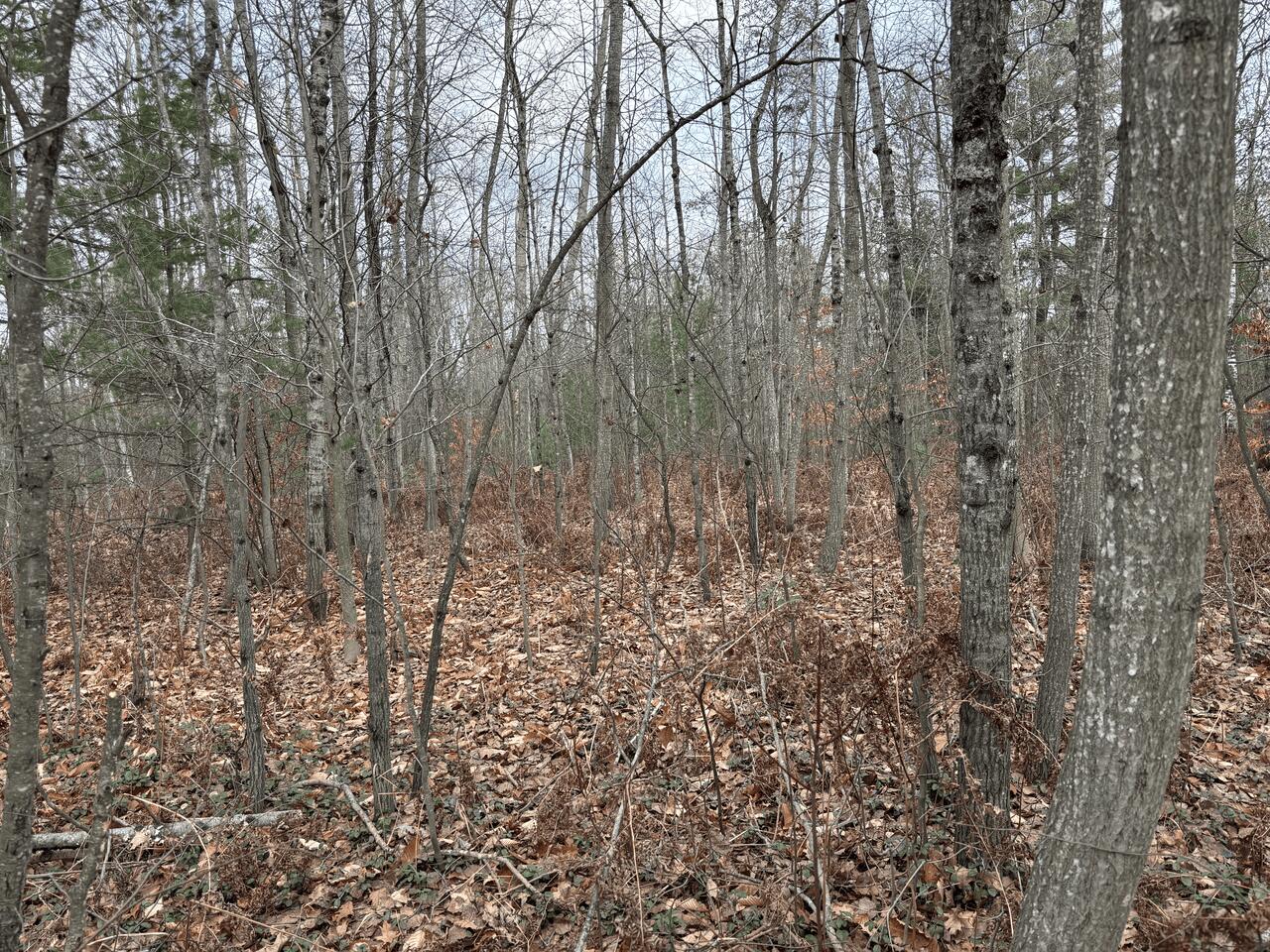5197 Sunset Trail Road Northeast Kalkaska, MI 49646 - Photo 54 of 69 Gallery Image 54