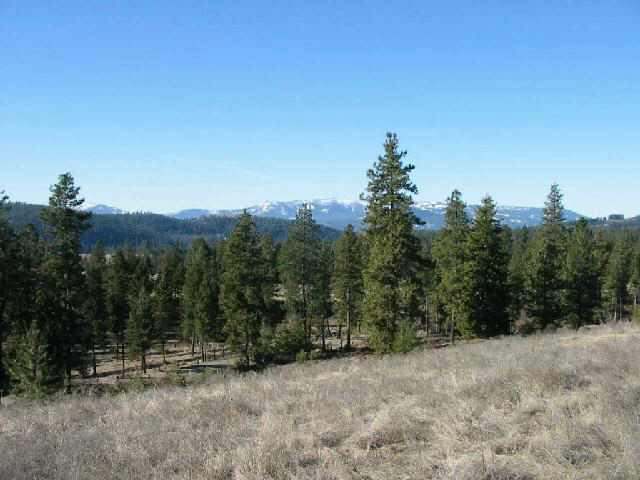 Lot 1 Garvey Road Colville, WA 99114 - Photo 1 of 1