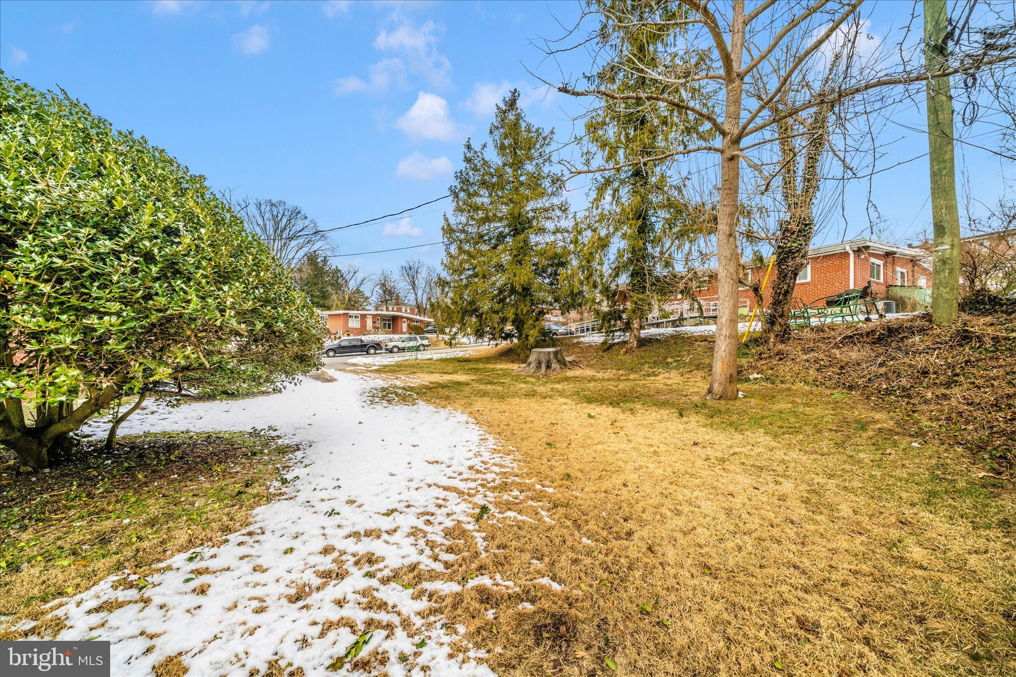1302 Glenmont Road Baltimore, MD 21239 - Photo 41 of 49 a view of a yard with a tree
