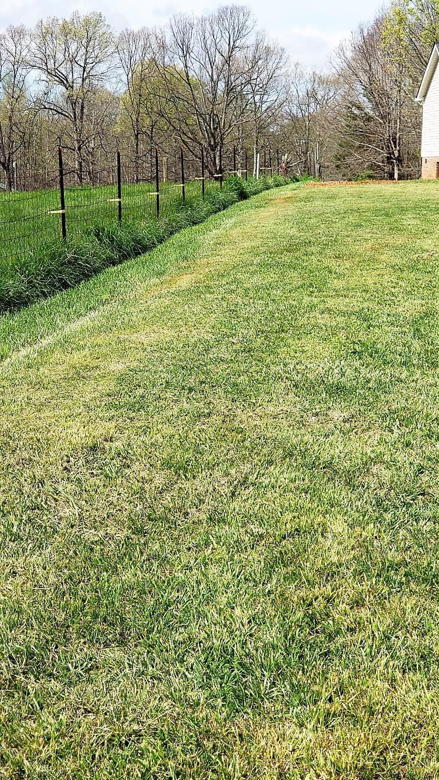 915 State Rd S-42-943 Campobello, SC 29322 - Photo 28 of 33