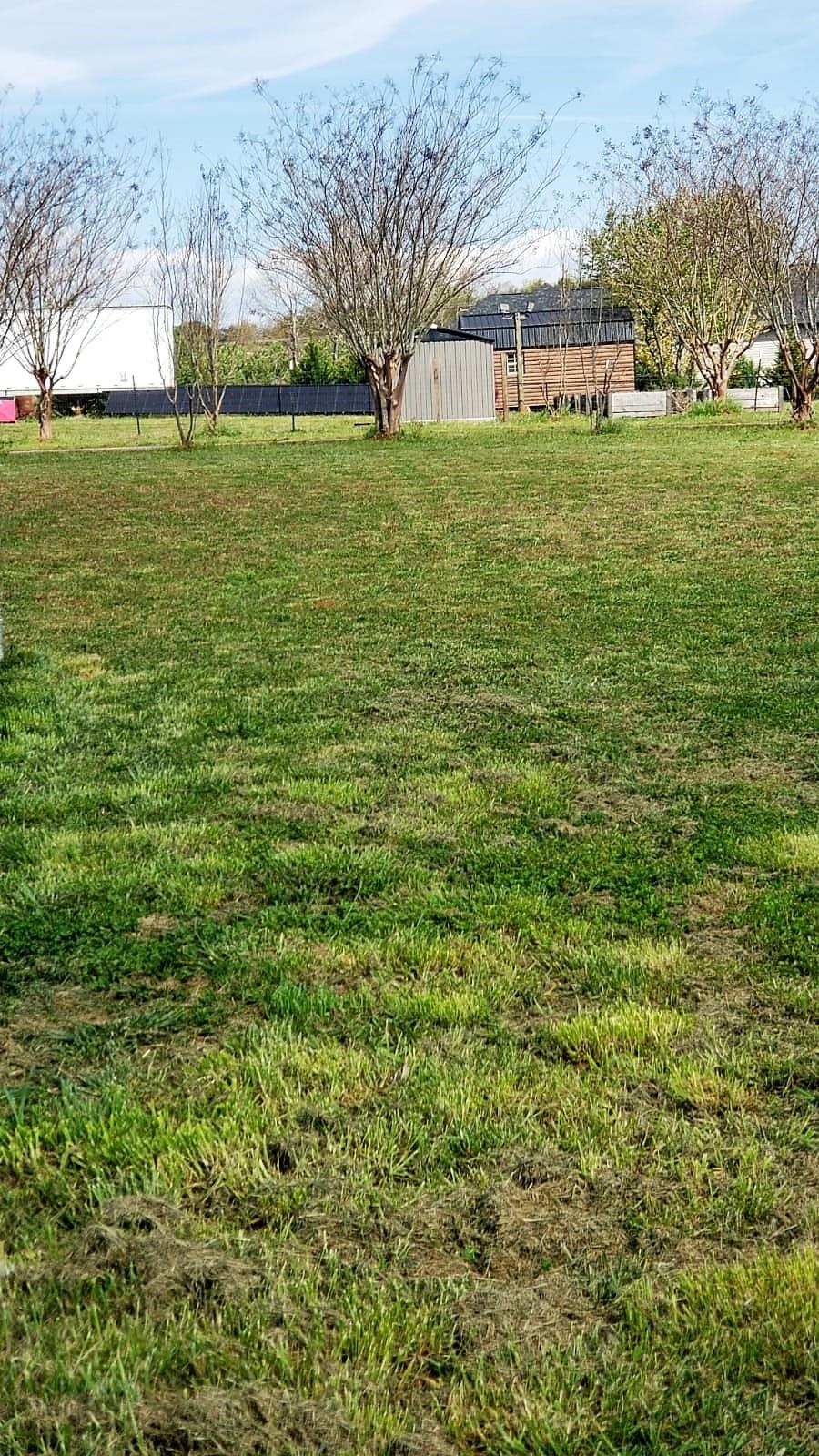 915 State Rd S-42-943 Campobello, SC 29322 - Photo 29 of 33