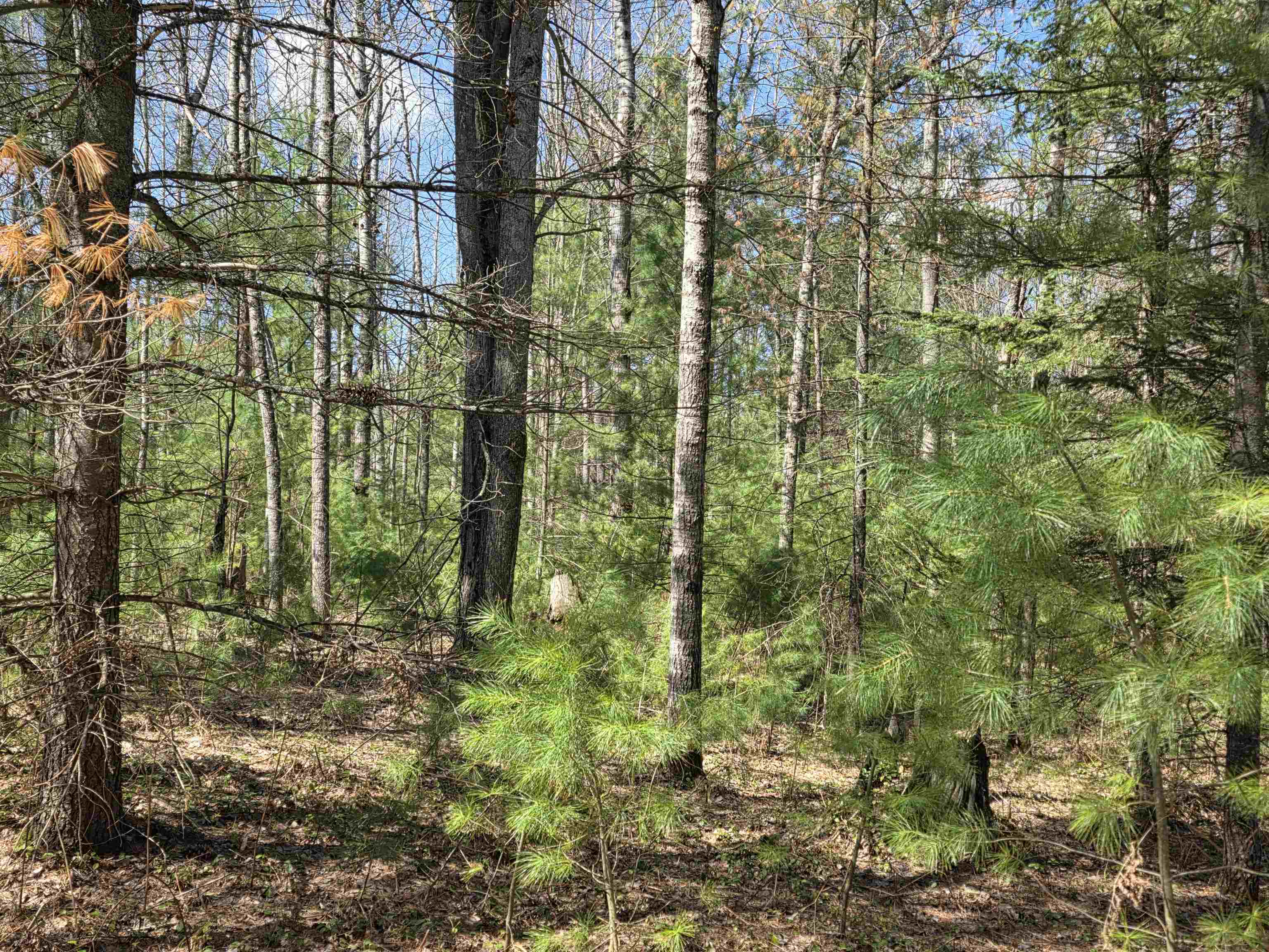 7299 North Truesdale Road Manton, MI 49663 - Photo 43 of 51