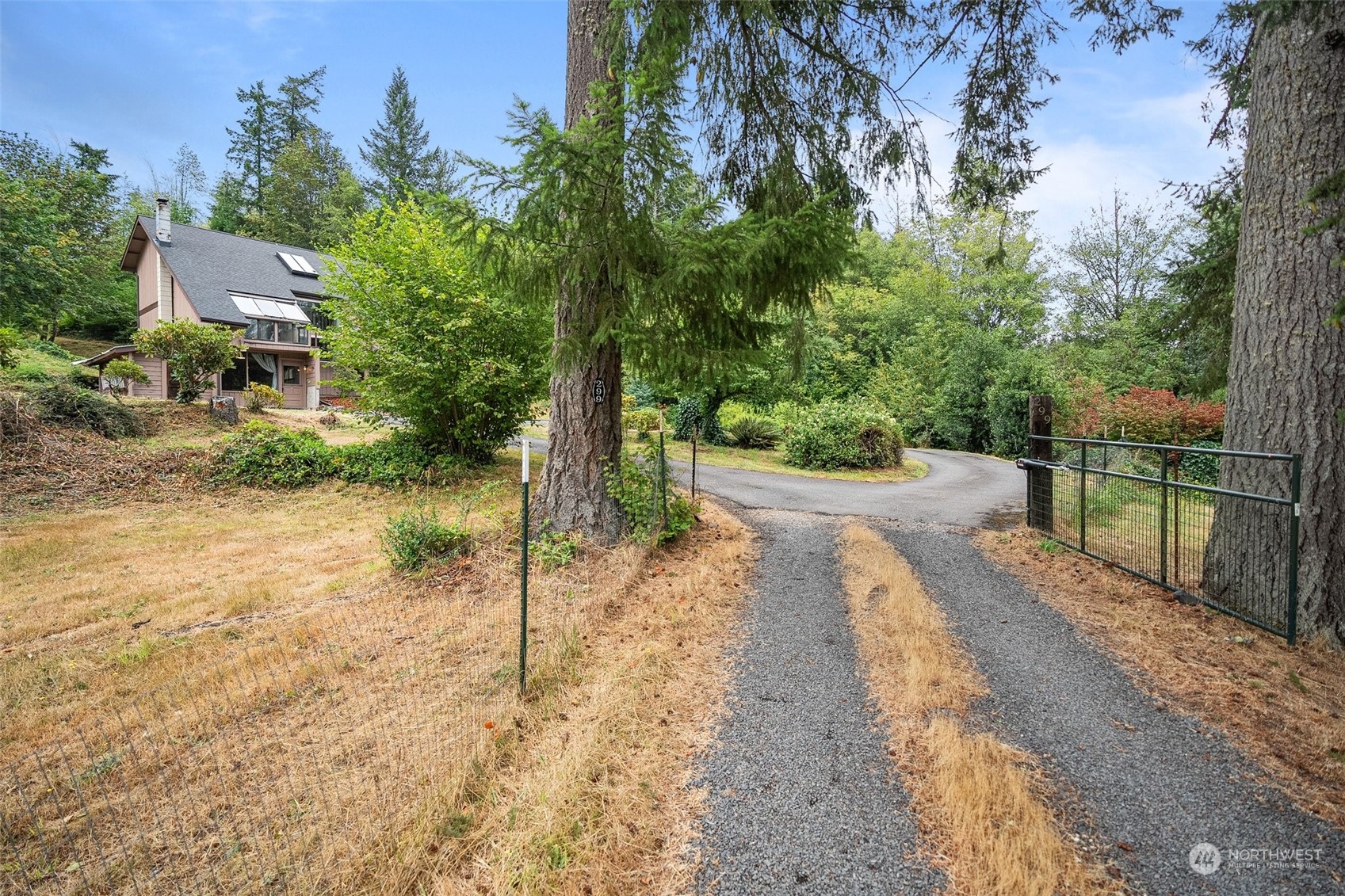 299 Logan Hill Road Chehalis, WA 98532 - Photo 35 of 40 a view of a yard with plants and trees