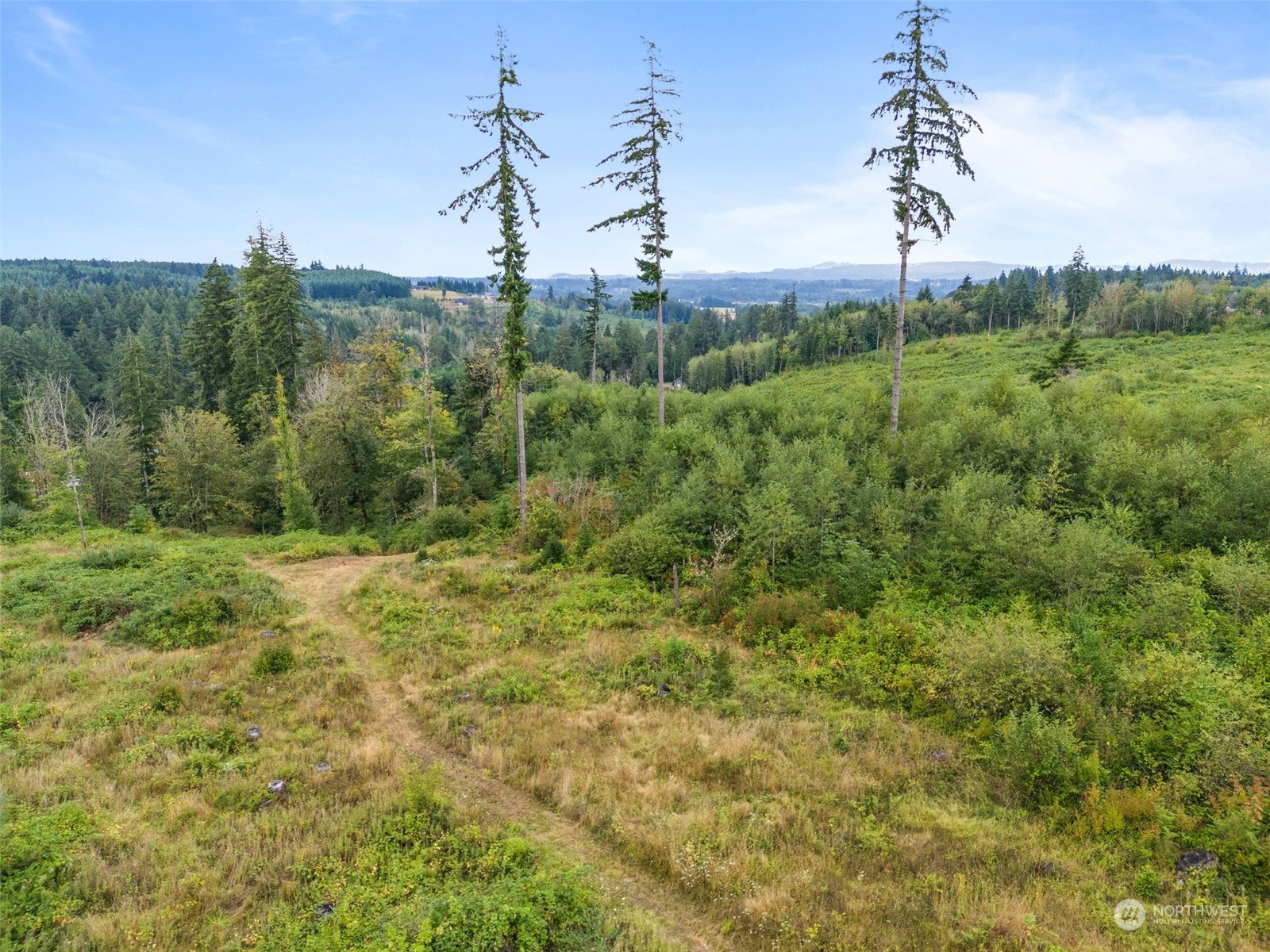 299 Logan Hill Road Chehalis, WA 98532 - Photo 37 of 40 a view of a garden with a tree