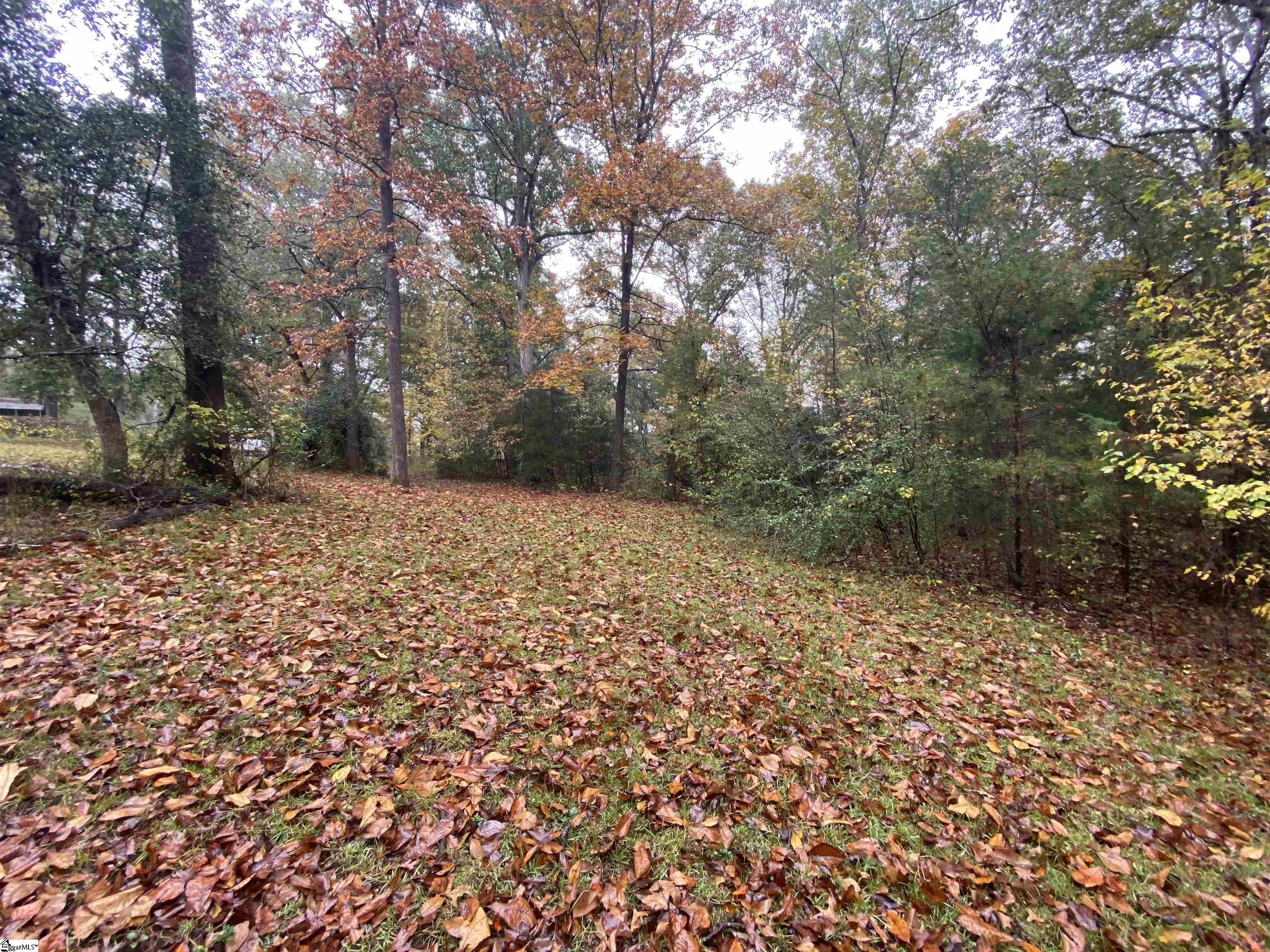 0 Thompson Road Wellford, SC 29385 - Photo 22 of 23