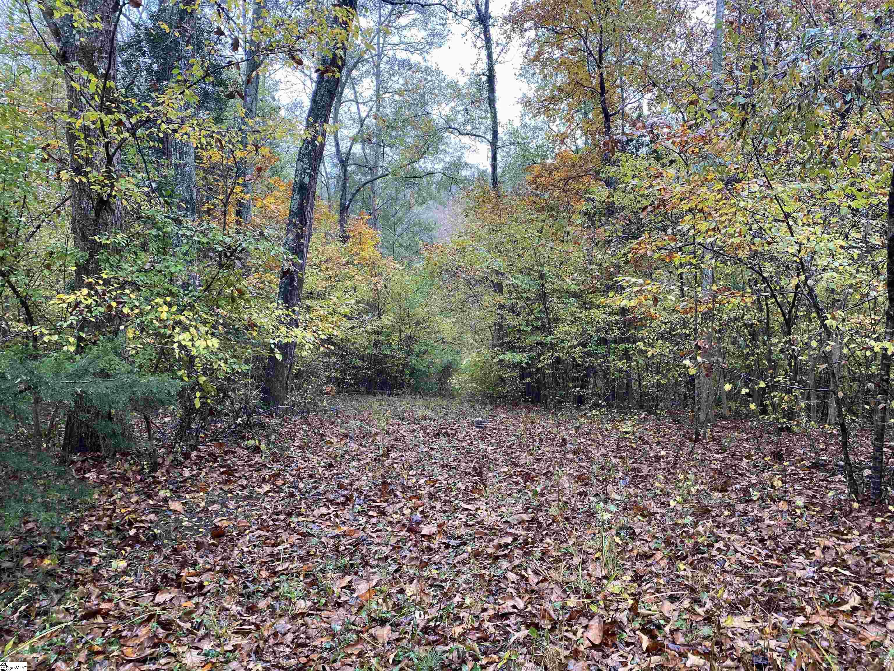 0 Thompson Road Wellford, SC 29385 - Photo 10 of 23