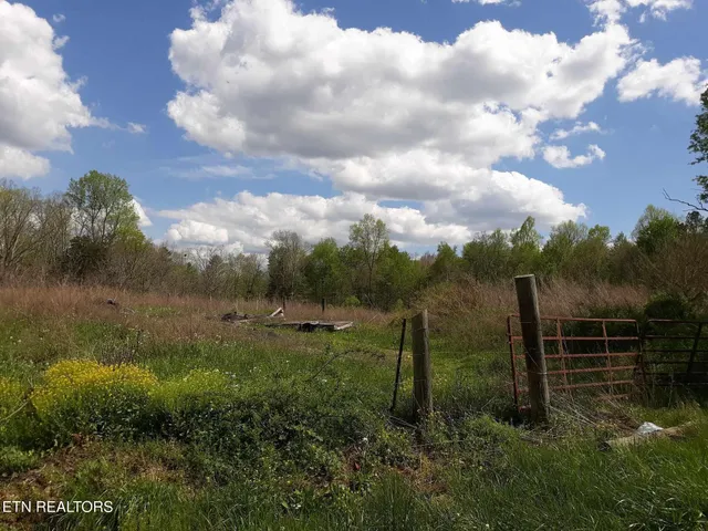 a view of a forest with trees in the background