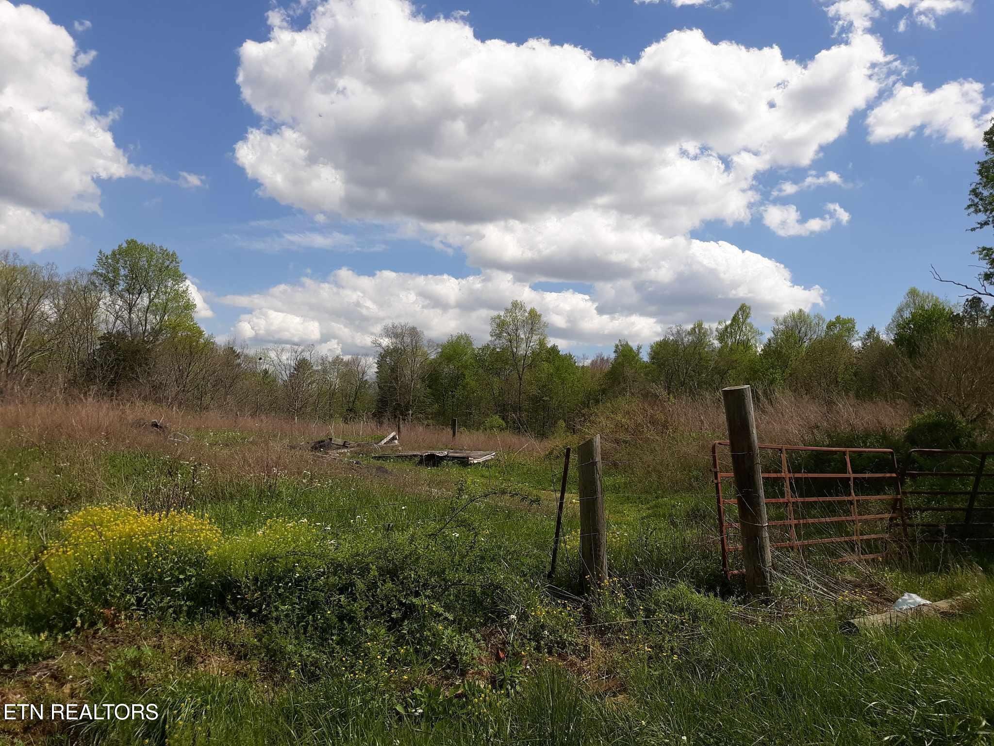 5054 Mt Helen Road Allardt, TN 38504 - Photo 11 of 34 a view of outdoor space and yard