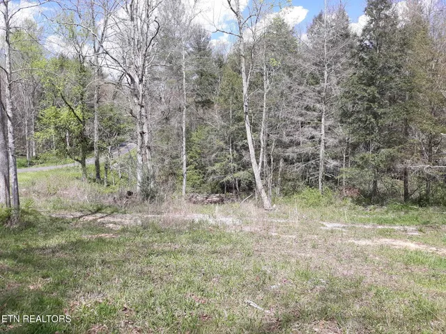a view of a lake with green space