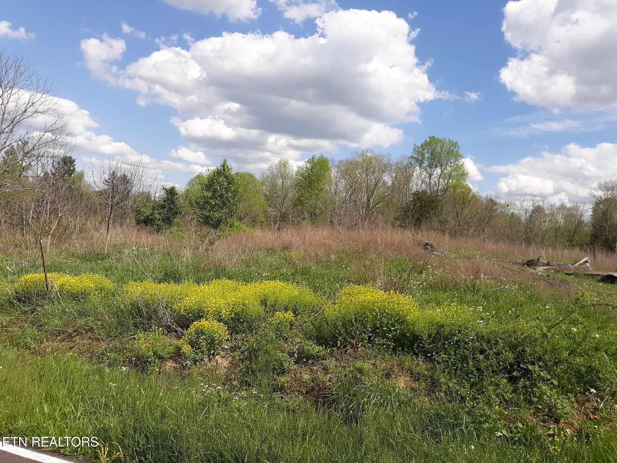 5054 Mt Helen Road Allardt, TN 38504 - Photo 13 of 34 a view of a lake with green space