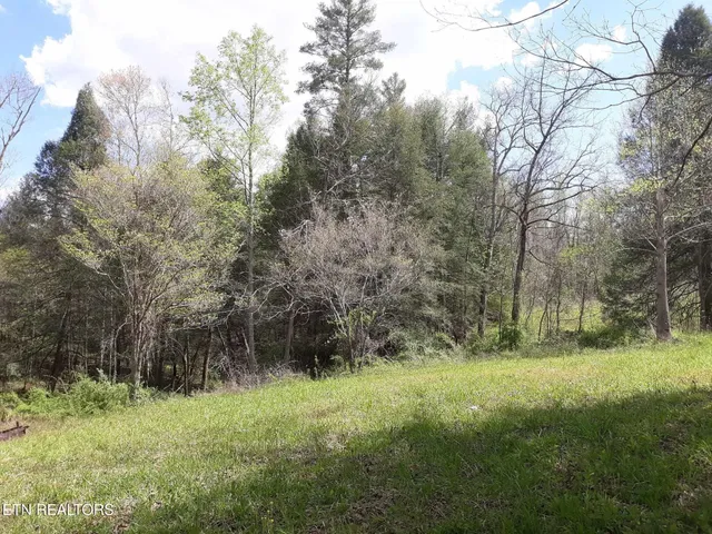 a view of backyard with green space