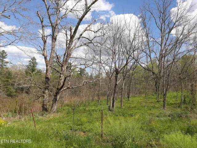 a view of a lake with green space