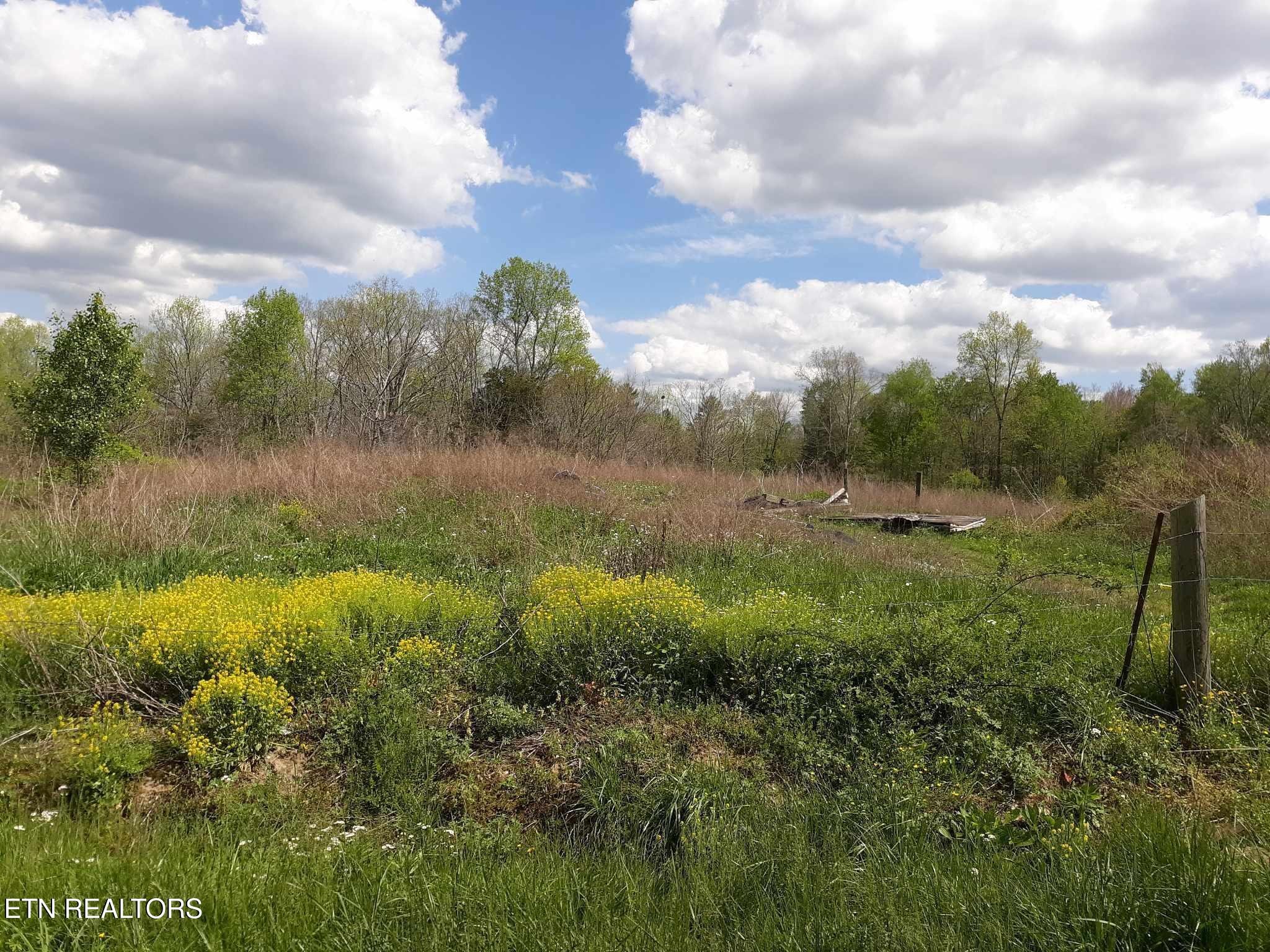 5054 Mt Helen Road Allardt, TN 38504 - Photo 17 of 34 a view of a lake with green space